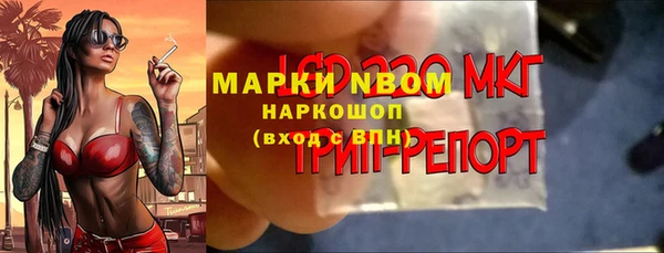 PSILOCYBIN Алексеевка
