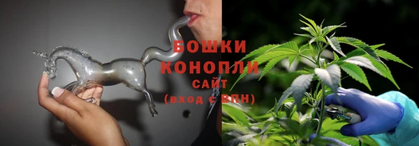 PSILOCYBIN Алексеевка