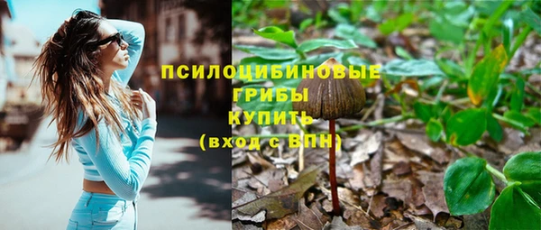 ГАЛЛЮЦИНОГЕННЫЕ ГРИБЫ Алзамай