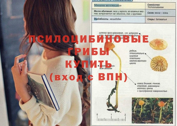 крисы Алексин