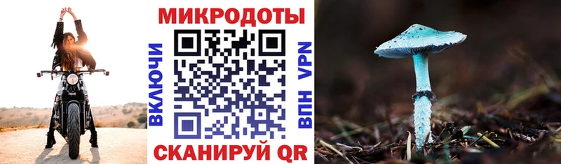 как найти наркотики  Каргат  Галлюциногенные грибы MAGIC MUSHROOMS 
